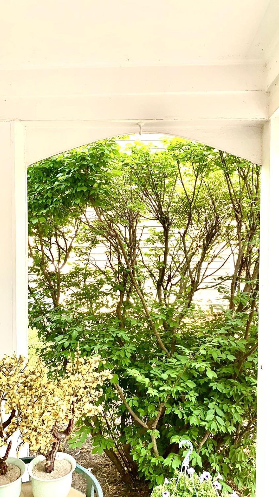 B3 A Private Room In Naperville Downtown With Desk And Wi-Fi Near Everything 외부 사진